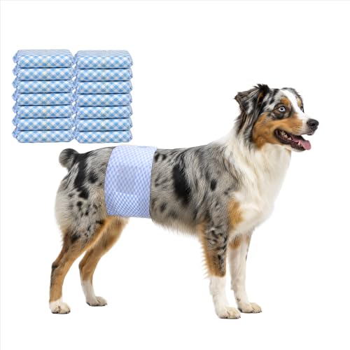 Male Dog Diaper Disposable Wraps for Waist 24–29.5 in,22 Count Leakproof, Super Absorbent, Adjustable Fit, Wetness Indicator, XL - size: Male 22ct Waist 24~29.5in(XL)