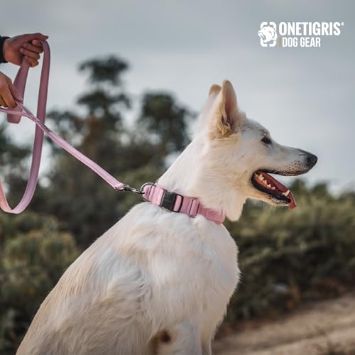 OneTigris Handled No-Pull Dog Walking Leash Long Traffic Leads for Medium to Large Dogs (Pink, 4FT) - color: Pink, size: 4FT