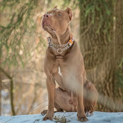 No-Pull Martingale Dog Collar with Chain - Adjustable Anti Pull Training Collar, Safe Choker Control Limited Slip Walking Training Dog Collars （Cute Dog Paw Print Large） - color: 12, size: L(Neck15"-22")