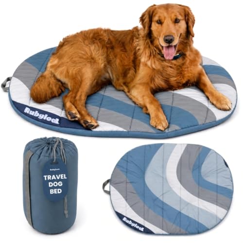 Travel Dog Bed (42" x 30") – Foldable & Packable for Travel, Road Trip, Camping – Lightweight, Water Resistant & Cozy Soft Padding – Compact, Portable & Machine Washable – Medium & Large Breeds: Blue - color: Glacier Tide, size: Large