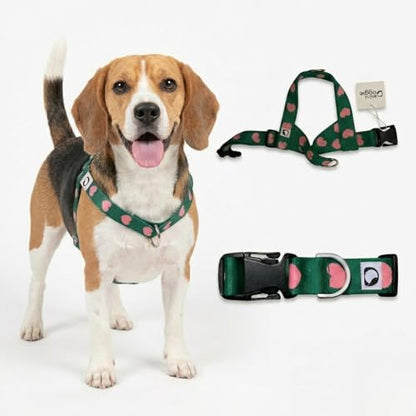 Heart Small Dog Harness – Soft Webbing, Front & Back Clip, No-Pull Design, Lightweight (Green, Medium) - color: Green, size: Medium