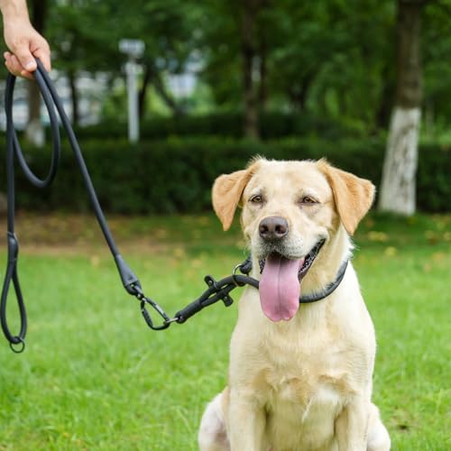 Rope Dog Leash, 6 Foot Heavy Duty Dog Leash with Aviation Aluminum Auto Locking Carabiner, Strong Nylon Pet Lead for Small, Medium, Large Dogs (Navy Blue, 6FT) - color: Navy Blue, size: 6 Foot Single Handle