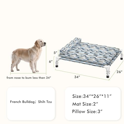 Orthopedic Dog Bed for Medium Dogs - Elevated Dog Couch with Bolster and Cushion, Raised Pet Couch Bed with Removable Washable Cover - size: Medium
