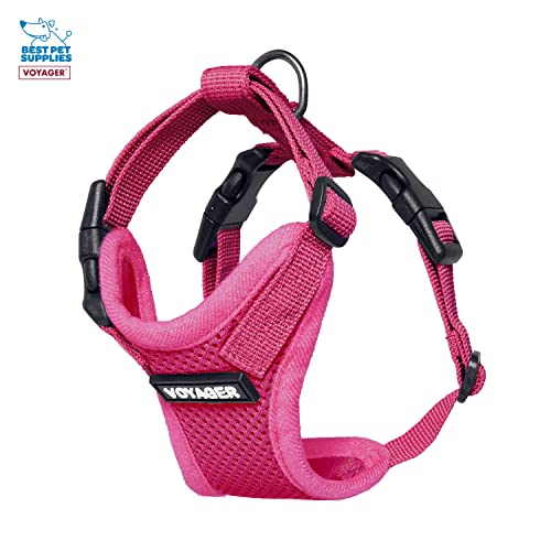 Best Pet Supplies Voyager Step-in Lock Pet Harness w Reflective Pet Leash Combo Set with Neoprene Handle 5ft - Supports Small, Medium and Large Breed Puppies/Cats - Fuchsia Set, XXXS - color: Harness Leash Set (Fuchsia), size: XXXS (Chest: 10.5 - 13")