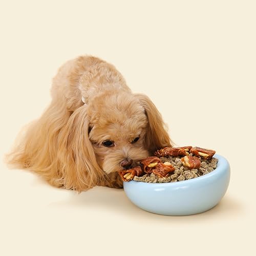 Pebble Pet Bowl Deep Blue, Ergonomic Dog & Cat Feeding Bowl, Flat-Faced Breed, Tilted Ceramic Pet Food Dish, Scooper Eater, Anti-Spill Design, Dishwasher Safe, Modern Pet Bowl, Dry & Wet Diet - color: Blue
