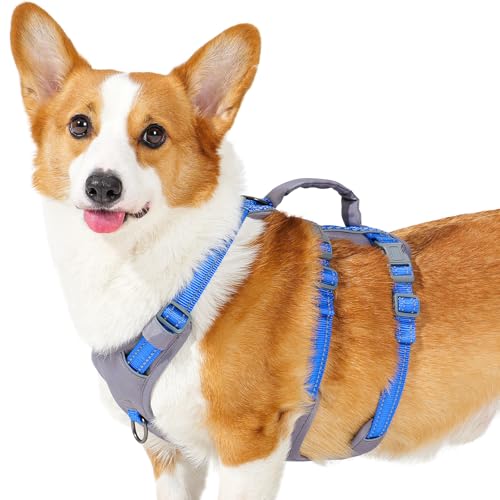 Huntboo Reflective Dog Harness with Handle, Escape Proof, No Slip, Breathable, Lightweight, Adjustable Lift Harness for Small, Medium, and Large Dogs Walking, Training, and Running Gear(Sea Blue,M) - color: Sea Blue, size: Medium (Pack of 1)