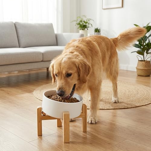 hjn Elevated Ceramic Dog Bowl 15°Slanted Raised Dog Bowl with Bamboo Stand for Small Medium Dogs and Cats, Pet Feeder -7.6-Cup (1800ml)-White - color: White, size: 7.6Cup