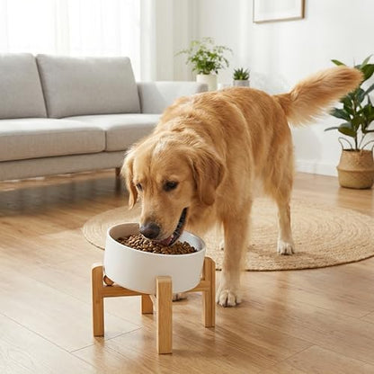 hjn Elevated Ceramic Dog Bowl 15°Slanted Raised Dog Bowl with Bamboo Stand for Small Medium Dogs and Cats, Pet Feeder -7.6-Cup (1800ml)-White - color: White, size: 7.6Cup
