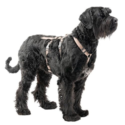 Ferplast Dog Harness Large Brave Large, Escape Proof Dog Harness, Greyhound, Adjustable Harness for Dogs, 6 Closures, Marrone - color: Brown, size: Large