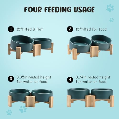 SPUNKYJUNKY 15° Slanted Ceramic Dog and Cat Bowl with Wooden Stand, Tilted Bulldog Food and Water Bowl No Slip Non-Spill for Cats Medium Dogs Big Face Pets 13.5 OZ (1.7 Cups, Green × 2) - color: Green, size: 1.7 CUPS × 2