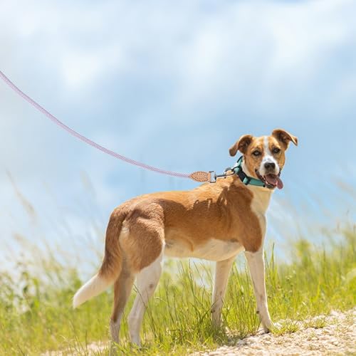 Mile High Life Dog Leash, Rope Leash with Genuine Leather Connection and Heavy Duty Metal Clasp, Great for Small Medium Large Dogs(Purple,48 Inch) - color: Rope Handle-Purple, size: 48 Inch-1/2"