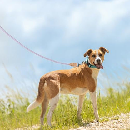 Mile High Life Dog Leash, Rope Leash with Genuine Leather Connection and Heavy Duty Metal Clasp, Great for Small Medium Large Dogs(Purple,48 Inch) - color: Rope Handle-Purple, size: 48 Inch-1/2"