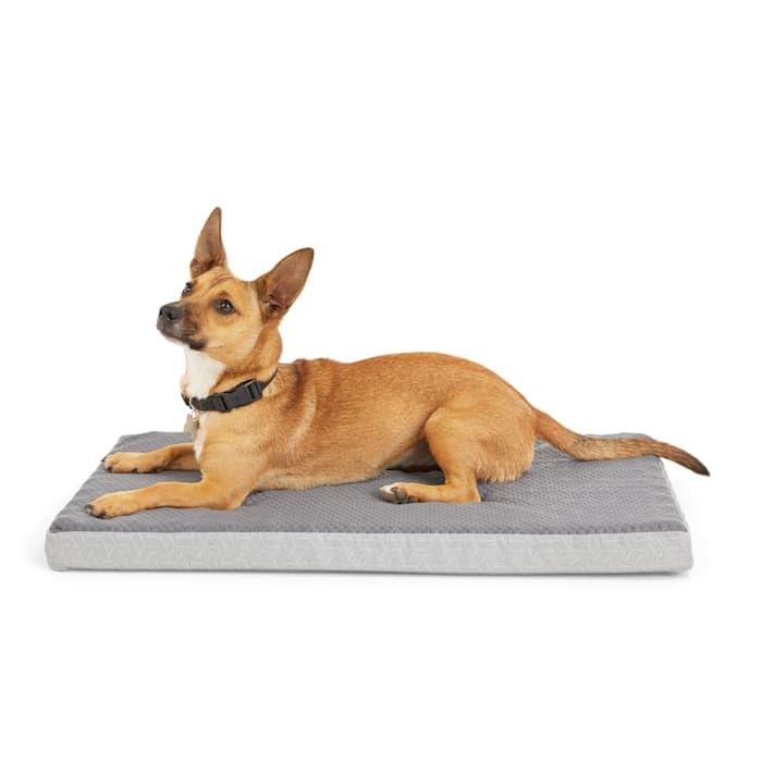EveryYay by Petco Grey Cool Orthopedic Dog Crate Mat 30" L X 19" W X 2" H - size: Medium