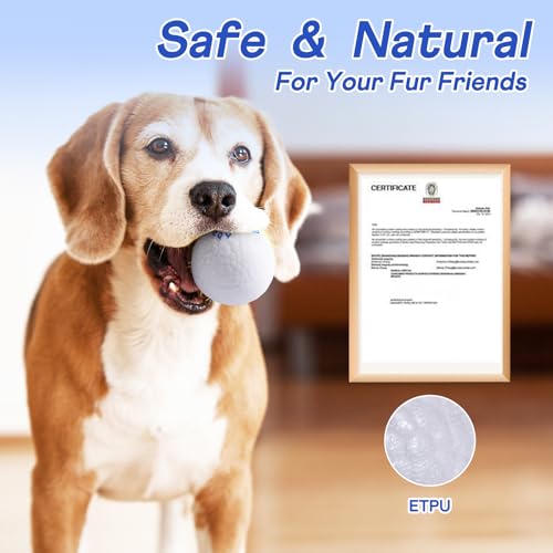 Durable Dog Herding Balls – ETPU Interactive Bouncy Fetch Balls for Small & Medium Dogs – Lightweight, High-Rebound Dog Toys for Puppies - color: 2 Balls