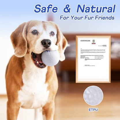 Durable Dog Herding Balls – ETPU Interactive Bouncy Fetch Balls for Small & Medium Dogs – Lightweight, High-Rebound Dog Toys for Puppies - color: 2 Balls