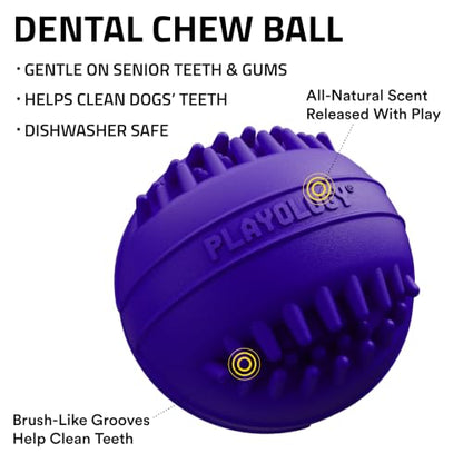 Playology Dog Toys | Dental Chew Ball for Senior Dogs | Pork Sausage Scented Medium Toy | Dog Balls for Healthy Teeth and Gums - size: Medium Chew Ball, style: Pork Sausage