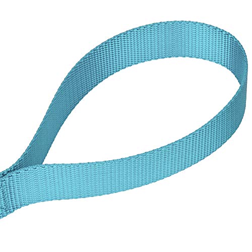 Country Brook Petz - Vibrant 17 Color Selection - Heavyduty Doublehandle Nylon Leash (6 Foot, 3/4 Inch Wide, Ocean Blue) - color: Ocean Blue