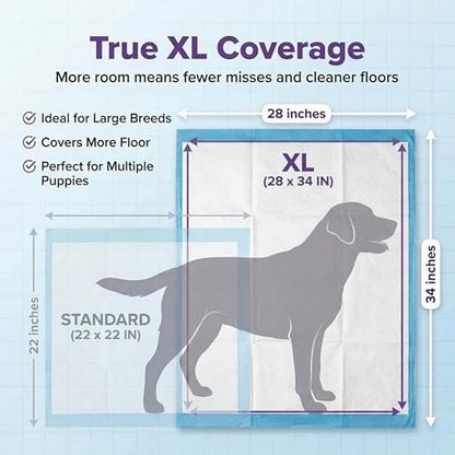 BV Puppy Pads XL 40 Count 34"x28" - Leak-Proof Pee Pads for Dogs with 6-Layer Design, Rapid Dry Sheet & Attractant - Dog Pad Extra Large with Odor Control - Perfect for Big Dogs & Indoor Use - size: XL / 40-Count (Standard)