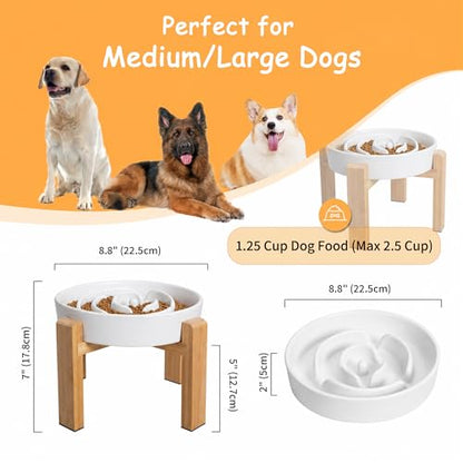 Elevated Slow Feeder Dog Bowl - Ceramic Food Dish with Bamboo Stand - Raised Maze Design - Ideal for Medium to Large Dogs - White - 8.8 inch - color: White, size: 2.5 CUP