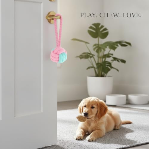 Cotton Rope Knot Ball Dog Toy, Braided Chew and Tug Play Item, 2.4 Inch (1 Set)