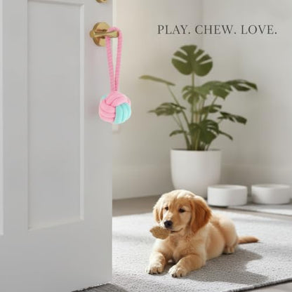 Cotton Rope Knot Ball Dog Toy, Braided Chew and Tug Play Item, 2.4 Inch (1 Set)