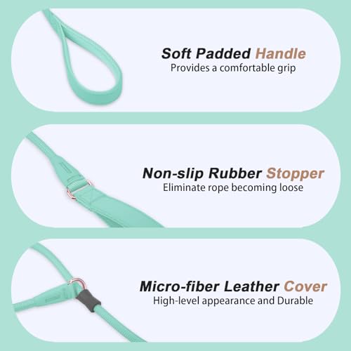 Slip Lead Dog Leash, Double Handle, Soft Leather, Heavy Duty Nylon, No Pull Walking, 5ft Mint Green - color: Mint Green, size: 5ft
