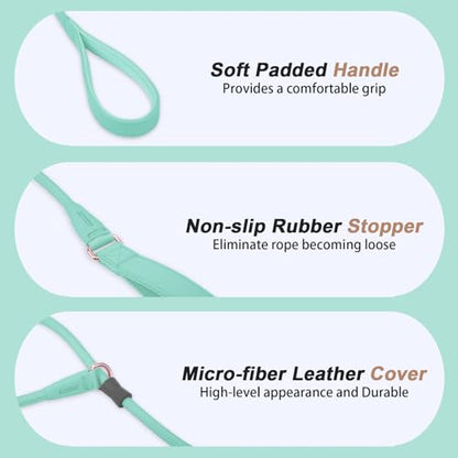 Slip Lead Dog Leash, Double Handle, Soft Leather, Heavy Duty Nylon, No Pull Walking, 5ft Mint Green - color: Mint Green, size: 5ft
