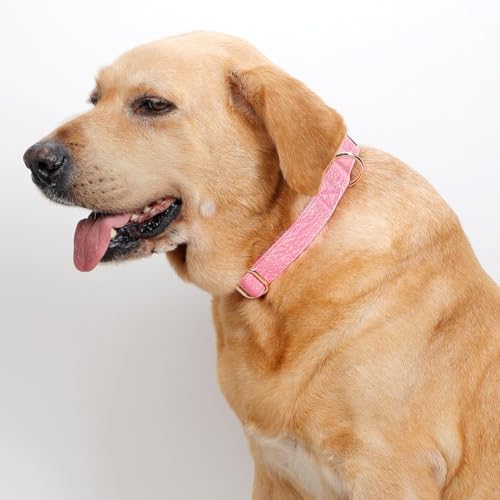Glare Hot Pink Personalized Dog Collars Leather and Nylon Thicken Design Engraved Heavy Duty Dog Collar with Name Plate Adjustable with Quick Release Metal Buckle for Small Medium Large Dogs,M - color: Pink - Personalized, size: M-(neck adjustable 12.6-19