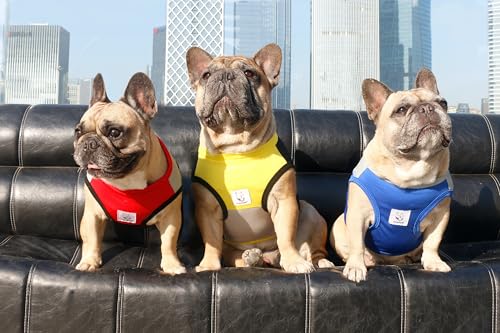 iChoue French Bulldog Summer Cooling Shirt for Dogs UV Sun Protection Vest Sleeveless Stretchy Tank Top English Pug Yellow Black - Large Plus - color: Cooling Shirts Yellow Black, size: Large Plus ( 35 - 45 lbs )