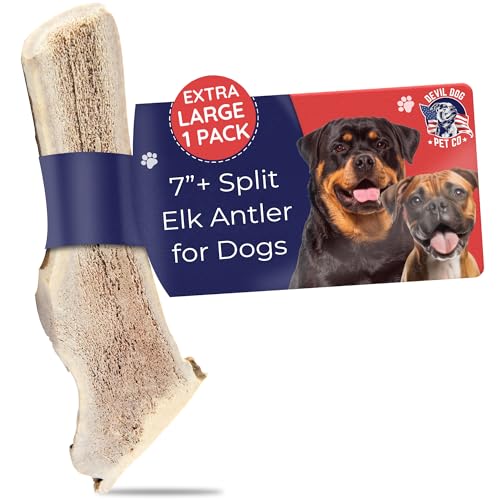 Devil Dog Pet Co. Split Elk Antlers for Dogs, Natural Dog Chew with Exposed Marrow - Long Lasting and Odor Free - USA Sourced - Cleaner Teeth, Anxiety & Boredom Relief - XL 7"+ - Antler Bone - style: split - XL - 1 Pack