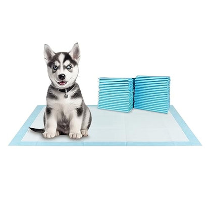 BV XXL Puppy Pads 40 Count 36" x 30" - Leak-Proof Pee Pads for Dogs with 6-Layer Design, Rapid Dry Sheet & Attractant - Dog Pad Extra Large with Odor Control - Perfect for Big Dogs & Indoor Use - size: XXL / 40-Count (Standard)