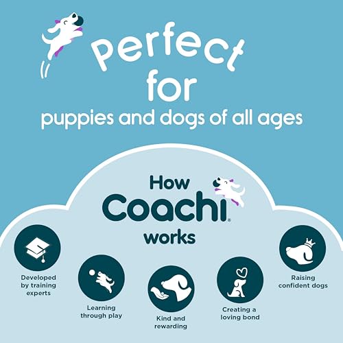 Coachi Tuggi Hide - Interactive Dog Toy for Tug of War & Play. Strong & Comfortable, Stretchy Bungee Handle, Reward Training, Interrupting Biting & Chewing. Ideal for Agility and Suitable for Puppies - style: Tuggi Hide