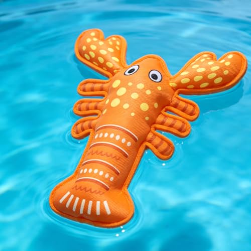 EXPAWLORER Lobster Dog Water Toy with Multiple Squeakers, Interactive Floating Dog Toys for Water Fetch, Durable Summer Pool Toys for Small Medium Large Dogs, NOT for Aggressive Chewer, Orange - color: Orange