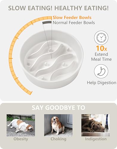 Ceramic Slow Feeder and Water Bowl Set for Small Dogs, 0.6 Cups Dog Slow Feeder(14oz) and 30oz Water Bowl Set, 6in, White - color: White, size: 6-Inch