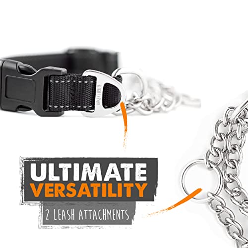 Mighty Paw Martingale Dog Collar 2.0 | Trainer Approved Limited Slip Collar with Stainless Steel Chain & Heavy Duty Buckle - Modified Cinch Collar for Gentle & Effective Pet Training - Small, Black - color: Black, size: Small