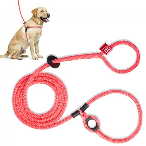 Harness Lead No Pull Dog Harness and Leash Set, Anti Pull Dog Harness for All Breeds and Sizes, One-Piece Cushioned Rope Design Safely Prevents Escaping and Pulling (Medium/Large, Pink) - color: Pink