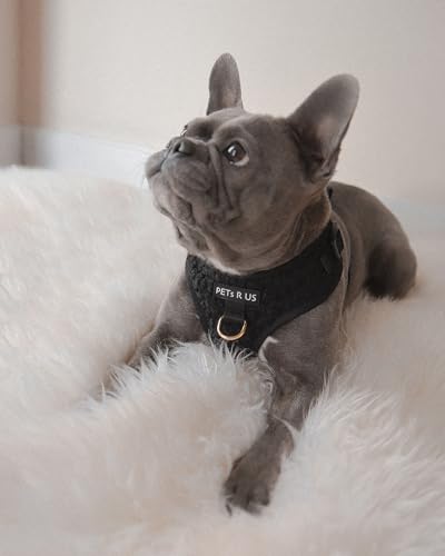 Premium No-Pull Dog Harness Soft Neoprene & Breathable Mesh Vest with Front & Back Clip D-Rings Adjustable Lightweight Walking Harness for Puppies, Small & Medium Dogs (Black Boucle, XS) - color: Black Boucle, size: XS: Neck 10.6-14.2'', Chest 14.2-18.9''