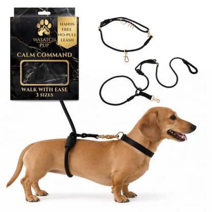 Hands-Free No-Pull Dog Leash | Durable Adjustable Training Lead for Dogs | Calm Command Outdoor Activity Leash for Active Pet Lifestyle Breeds | Ergonomic Handle - Small (25 lbs and Under) - size: Small (25lbs and Under)