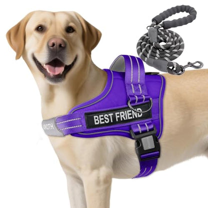 AUROTH Dog Harness and Leash Set, Soft Padded Service Dog Vest with 5.25FT Dog Leash, No Choke, Easy On Pet Vest, Adjustable Reflective No Pull Dog Harness for Large Dogs, Easy Walking and Training - color: Purple, size: Large