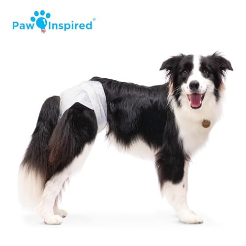 Paw Inspired Disposable Dog Diapers | Female Dog Diapers Ultra Protection | Diapers for Dogs in Heat, Excitable Urination, or Incontinence (12&144 Count) (Large (12 Count)) - size: Large (12 Count)