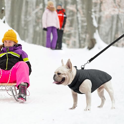 SCENEREAL Winter Dog Vest Coat with Harness Built In, Warm Puppy Jacket for Small Medium Dogs, Cold Weather Coat with Zipper, Fleece Puffer Vest Windproof Snow Clothes - color: #1 Black-Matte, size: L(Chest 19")-Regular