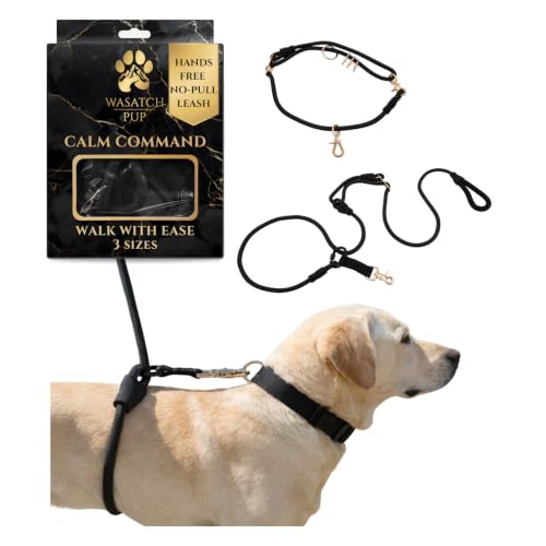 Hands-Free No-Pull Dog Leash | Durable Adjustable Training Lead for Dogs | Calm Command Outdoor Activity Leash for Active Pet Lifestyle Breeds | Ergonomic Handle - Large (60+ lbs) - size: Large