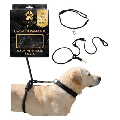 Hands-Free No-Pull Dog Leash | Durable Adjustable Training Lead for Dogs | Calm Command Outdoor Activity Leash for Active Pet Lifestyle Breeds | Ergonomic Handle - Large (60+ lbs) - size: Large