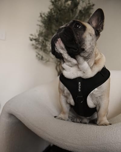 Premium No-Pull Dog Harness Soft Neoprene & Breathable Mesh Vest with Front & Back Clip D-Rings Adjustable Lightweight Walking Harness for Puppies, Small & Medium Dogs (Black, XS) - color: Black, size: XS: Neck 10.6-14.2'', Chest 14.2-18.9''