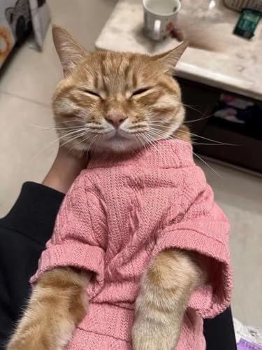 Kitten Clothes, Dog Cat Sweaters Pet Puppy Knitwear Costume Fall Winter Coat for Small Medium Cats Dog Girl Boy Fit 2.2-23lb - color: Pink, size: X-Small