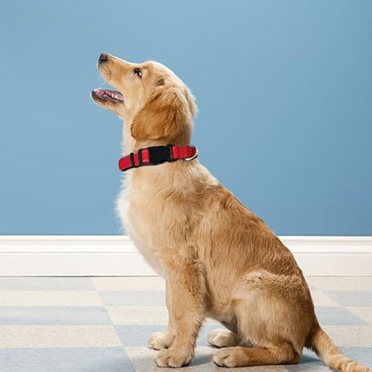 Reflective Dog Collar, Adjustable Soft Neoprene Padded Nylon Pet Collars with Buckle for Puppy and Small Dogs, Cats, Red,XS - color: Red, size: X-Small