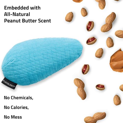 Playology Dog Toys | Plush Toy Crinkle Egg for Large Dogs | Peanut Butter Scented Jumbo Plush Chew Toy - size: Jumbo Egg, style: Peanut Butter