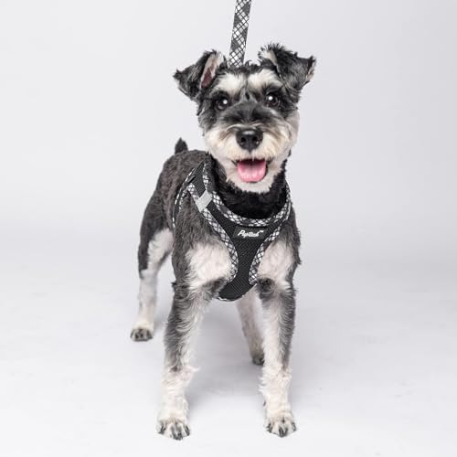 PUPTECK Dog Harness and Leash Set for Small Medium Dogs No Pull Step-in Soft Mesh Puppy Cat Vest Harnesses Reflective at Night, Black S - color: #1 Black(Basic Mesh), size: S(CHEST 14.5"-16", 6.6-14 lbs)