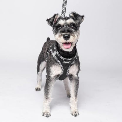 PUPTECK Dog Harness and Leash Set for Small Medium Dogs No Pull Step-in Soft Mesh Puppy Cat Vest Harnesses Reflective at Night, Black M - color: #1 Black(Basic Mesh), size: M(CHEST 16"-18", 11-18 lbs)