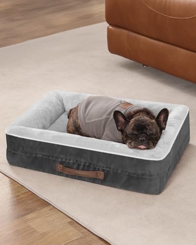 Upvilla Orthopedic Dog Bed, Four-Sided Cushioned Egg-Shaped Foam Dog Sofa, Waterproof Removable Cover, Cat Bed with Non-Slip Base, Small Pet Bed,Gray - color: Gray, size: 24"l x 18"w x 6"th